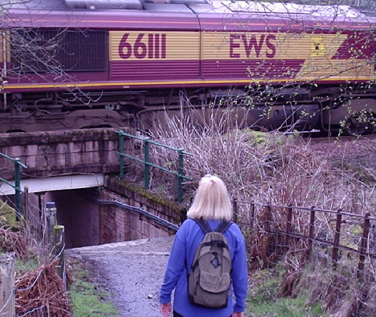 Shirley at Bridge of Orchy